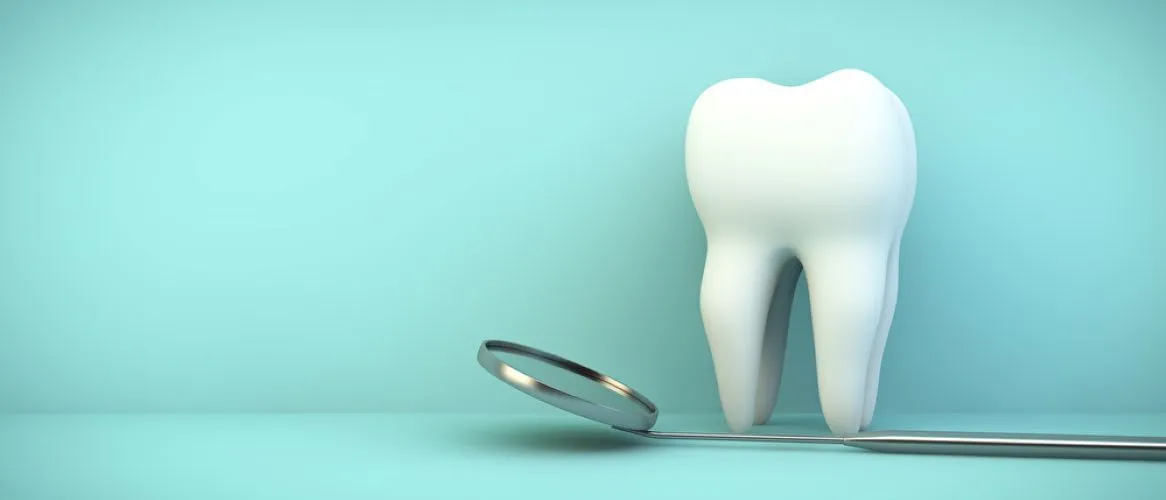 外科的根管治療の説明イメージ